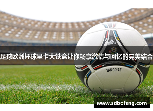 足球欧洲杯球星卡大铁盒让你畅享激情与回忆的完美结合