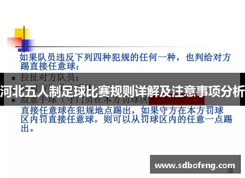 河北五人制足球比赛规则详解及注意事项分析