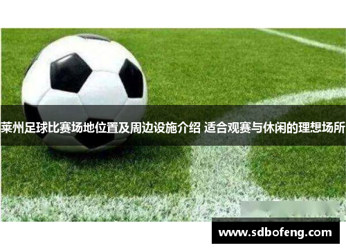 莱州足球比赛场地位置及周边设施介绍 适合观赛与休闲的理想场所