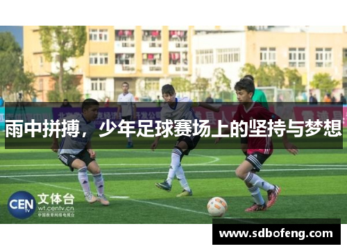 雨中拼搏，少年足球赛场上的坚持与梦想